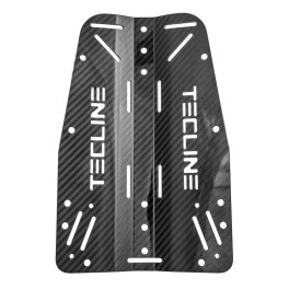 Standard backplate Carbon (0,475 kg)