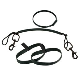 Stage rigging kit for 7L, 120 mm SS bolt snap, rubber bands